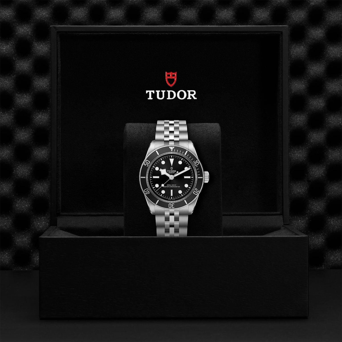 TUDOR Black Bay M7941A1A0NU-0003